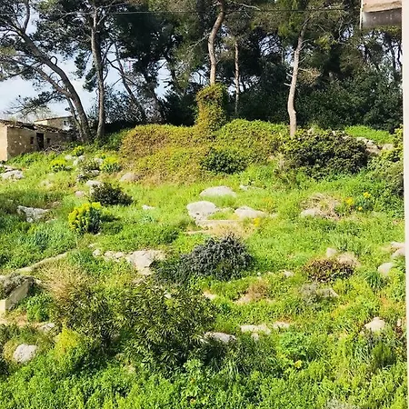 Apartmani Sali Seaview Exterior photo